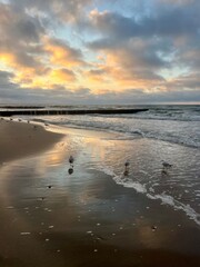 Wall Mural - Tender purple clouds reflection at the seashore, beautiful sunset seascape, empty sea beach, fantastic clouds reflection on the sea surface