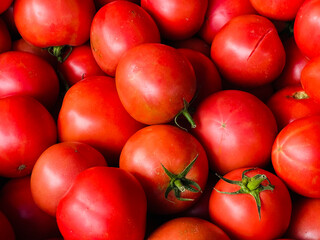 Red juicy tomatoes. Background from tomatoes. Organic tomatoes