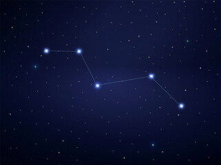 Wall Mural - vulpecula constellation in night sky