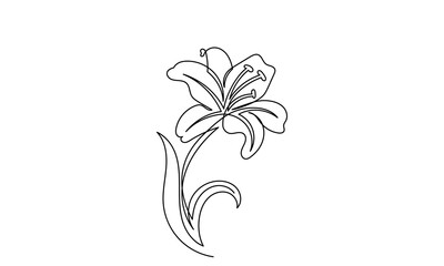 Wall Mural - Lily flower vector, continuous line drawing of lily flower. Line art lily flower isolated on white background. sketch hand-drawn Designs for invitations, weddings, wallpaper, print templates.