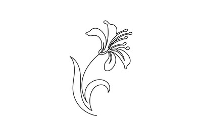 Wall Mural - Lily flower vector, continuous line drawing of lily flower. Line art lily flower isolated on white background. sketch hand-drawn Designs for invitations, weddings, wallpaper, print templates.