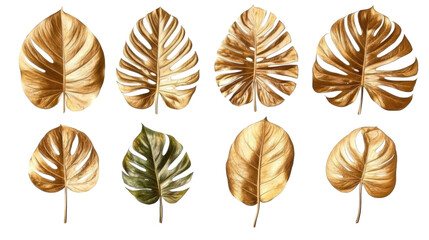 Wall Mural - Vibrant Golden Monstera Leaves Arranged in an Artistic Display Generative AI