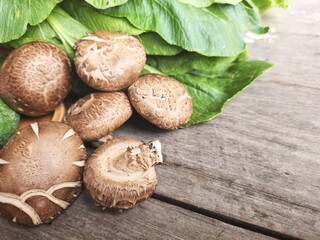 Wall Mural - Close up of shiitake mushrooms plant