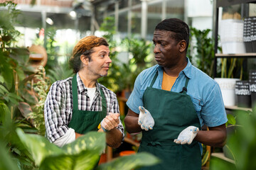 Wall Mural - Two gardeners working in a flower greenhouse are discussing current work issues, pointing to something