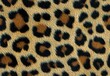 © Kanrakorn - closeup of the leopard print fabric texture , isolated on white background,  , copy space for text,