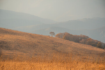 Wall Mural - misty morning in the mountains