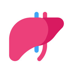 Poster - liver flat icon