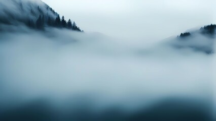 Wall Mural - a light foggy scene with nature and fog in the background