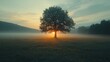 © That - A peaceful sunrise over a rural field with a lone tree and morning mist hanging over the landscape.