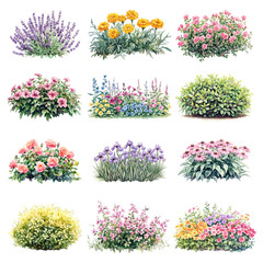 png flower garden element set, transparent background