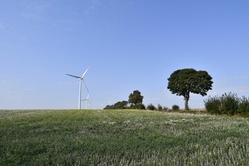 Wind turbine in a green field under blue sky.