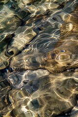 Poster - A close-up shot of a rock submerged in water, great for underwater or aquatic-themed designs