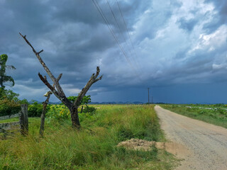 Wall Mural - Dirt road and storm cmouds