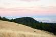 © ADDICTIVE STOCK - Scenic view at Mount Tamalpais with stunning cloud cover