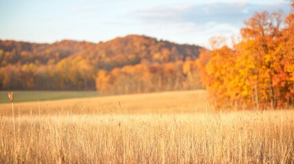 Lush field of tall green grass under bright blue sky, summer scene.