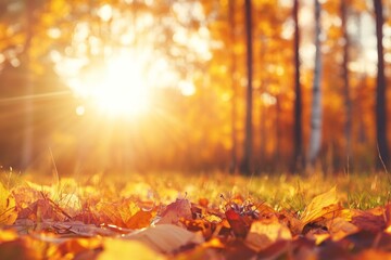 Colorful autumn leaves scattered on lush green grass, fall season.