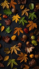 autumn, leaf, maple, fall, leaves, nature, tree, vector, pattern, orange, season, illustration, yellow, design, foliage, plant, seamless, texture, color, oak, brown, wallpaper, october, red, decoratio