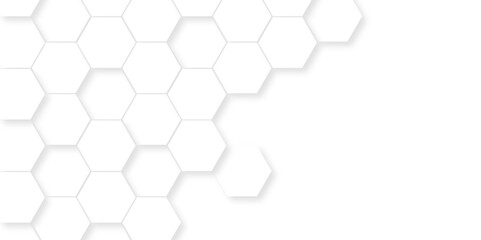 Abstract pattern with hexagonal white and gray technology line paper background. Hexagonal 3d vector grid tile and mosaic structure mess cell. white and gray hexagon honeycomb geometric copy space.