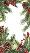 © Nathamanee - A white background with a frame of pine trees and berries