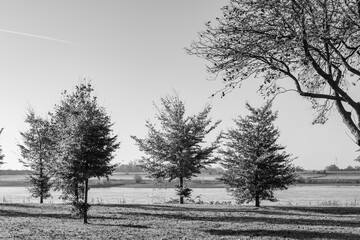  Herbststimmung am Rhein