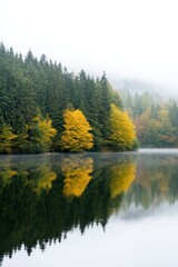 Poster - Serene Autumn Lakeside Misty Reflections and Vibrant Foliage