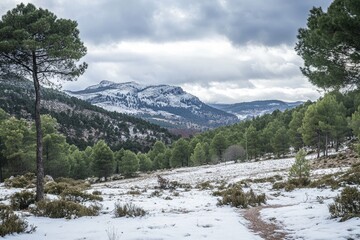Majestic Winter Mountain Scenery with Snowy Peaks and Coniferous Forest in Neila, Spain