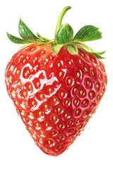 Sticker - Strawberry close-up