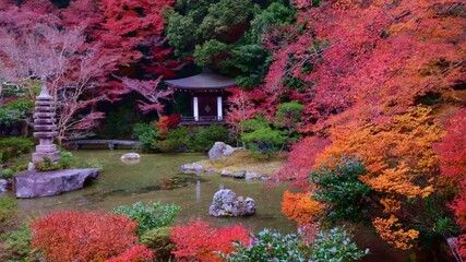 Wall Mural - Beautiful autumn scenery in the garden of the Bishamondo temple, Kyoto, Japan
