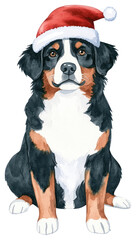 Wall Mural - PNG Bernese mountain dog wearing christmas hat illustration watercolor cute.