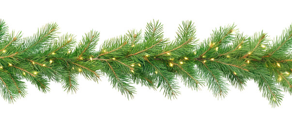 Wall Mural - png green fir branches pine christmas evergreen.