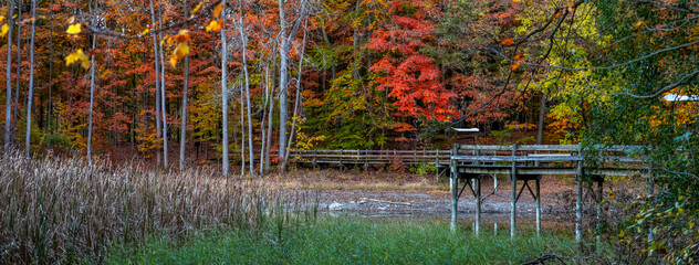 Wall Mural - Scenic boardwalk trail along lake in Maybury state park in Michigan