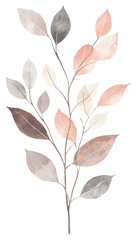 Wall Mural - png peacock plant art illustration watercolor.