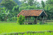© Tsabit - a hut where farmers rest in the fields