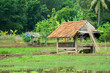 © Tsabit - a hut where farmers rest in the fields