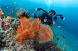 © zephyr_p - Male Scuba diver holding an underwater camera posing with Gorgonian Sea Fan coral at Similan National Park, Thailand. Beautiful coral reef and stunning underwater landscape of Andaman Sea
