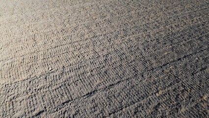 Poster - Plowed farmland and forest border in daylight, captured from above