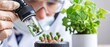 © POOM - Scientist examines plant growth under microscope for innovative research in botany and agriculture