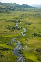 Wall Mural - The river gently curves through the expansive green valley, surrounded by distant hills and open fields, creating a peaceful natural habitat