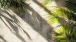© DigitalDruid - Tropical palm leaves create a nature inspired design against a textured concrete backdrop with natural shadows cast by sunlight Flat lay composition