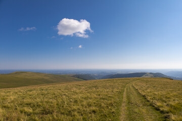 Wall Mural - sentier de randonnée en été sur une montagne dans les Monts du Cantal