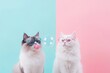 © Halina Berah - A portrait of two cats posing with sunglasses and blowing bubble gum is an adorable image.