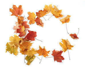 Wall Mural - Autumn leaves background with copy space. Colorful leaves on ground with empty place isolated on white background, autumn concept.