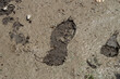 © Semiglass - A muddy foot print is visible on the ground. The mud is thick and wet, and the foot print is large and deep. Concept of dirtiness and messiness