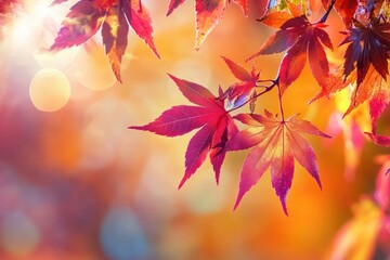 Canvas Print - close-up of red maple leaves. perfect for autumn-themed designs, seasonal promotions, or nature phot