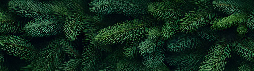 Wall Mural - fir branches green needle abstract background christmas texture. horizontal composition, banner.