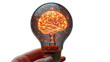 © LOPH Studio - Hand holding light bulb with glowing brain inside, symbolizing innovation.