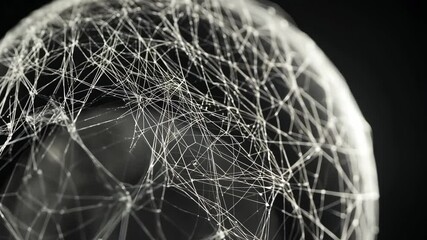 A close-up of a spider web with dew drops, taken in the early morning
