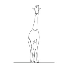 Wall Mural - Continuous single line sketch drawing of wild giraffe standing tall in wildlife editable stroke vector illustration