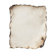 © Maestro - Burnt edged parchment, blank surface