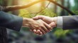 © Lilit - businessman handshake on a blurred background, close up of hands of businessmans
